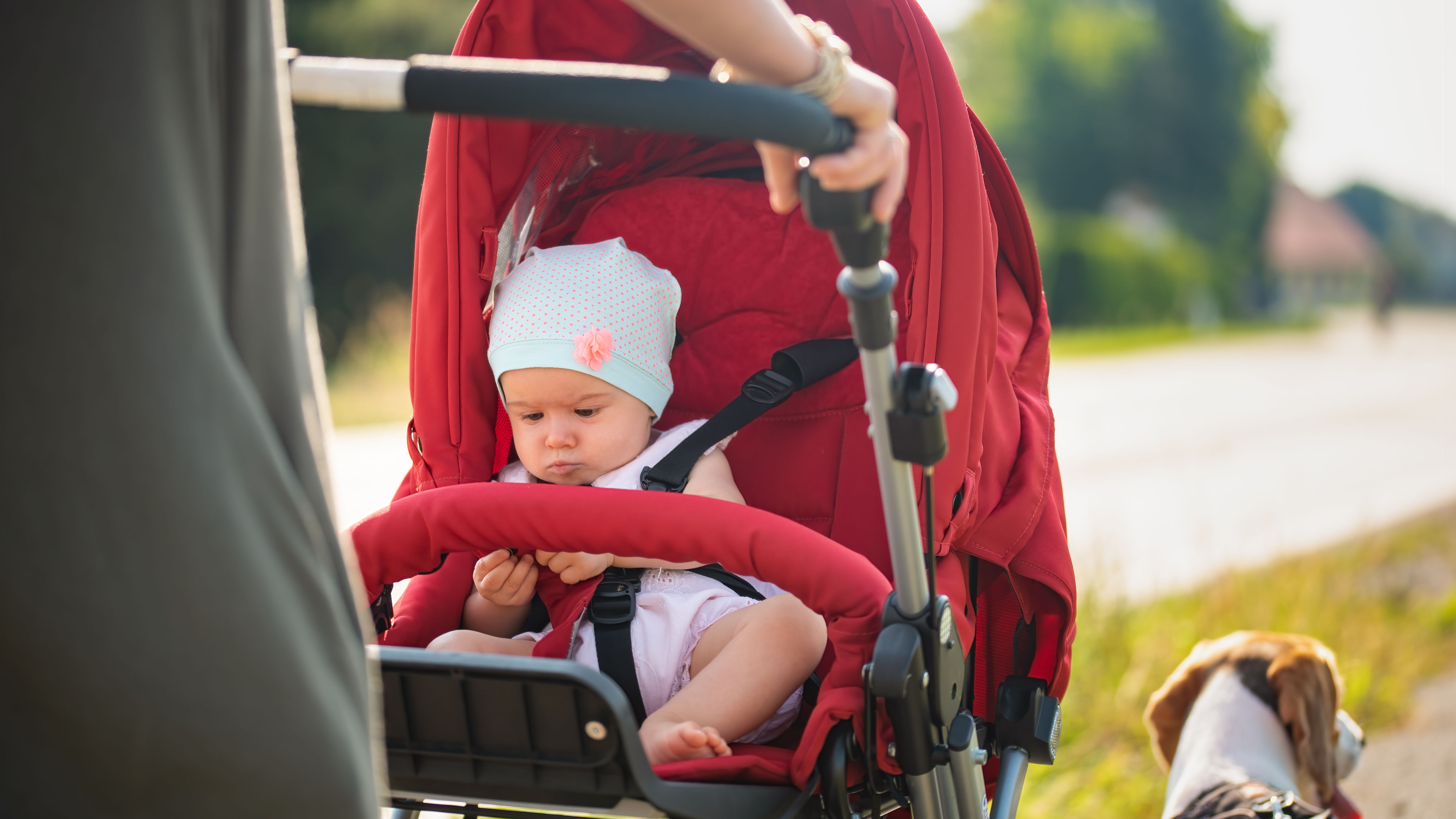 A baby on the stroller